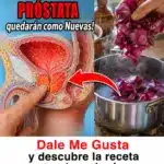 Apoyo natural vejiga y próstata: método casero 8 Apoyo natural vejiga y próstata: método casero