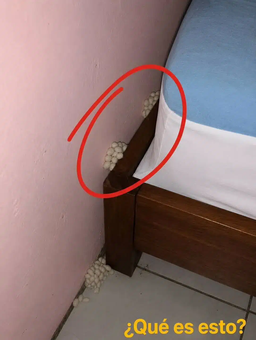 Noche tranquila interrumpida: Descubre qué sucedió 2 Noche tranquila interrumpida: Descubre qué sucedió