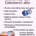 Cero colesterol: El secreto para tu salud. 6 Cero colesterol: El secreto para tu salud.
