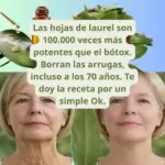 El Laurel: Propiedades, Usos y Beneficios