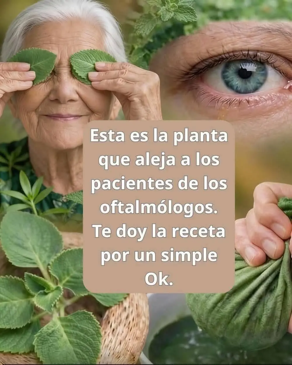 Adiós Visión Borrosa: Soluciones Efectivas Aquí 2 Adiós Visión Borrosa: Soluciones Efectivas Aquí