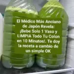 Japón: Médico anciano revela secreto de salud.