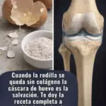 Cáscaras de huevo: tesoro para tus huesos