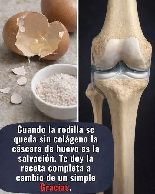 Cáscaras de huevo: tesoro para tus huesos