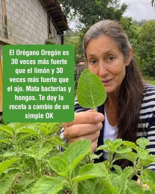 Potente remedio natural: alternativa al ajo y limón