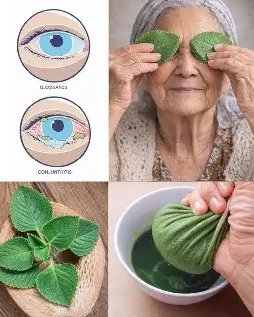 Mejora tu visión naturalmente y evita oftalmólogos