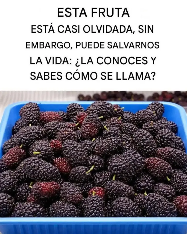 Fruta ancestral: salva tu vida, descubre su poder