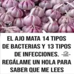 Ajo: Antibiótico natural contra bacterias e infecciones
