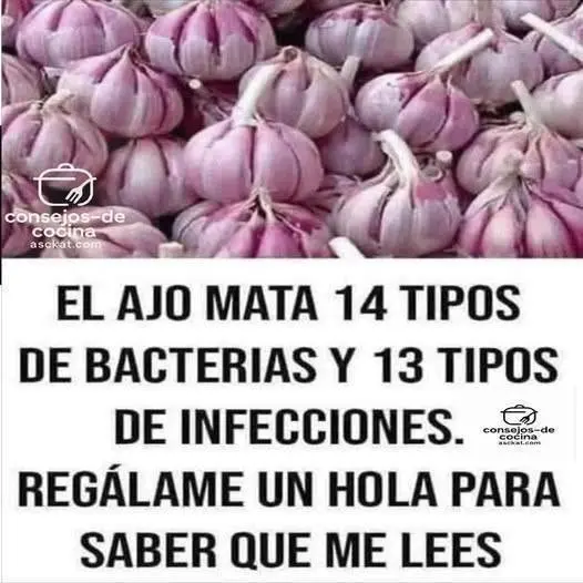 Ajo: Antibiótico natural contra bacterias e infecciones