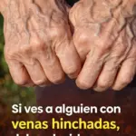 Título: [El Título del Artículo]