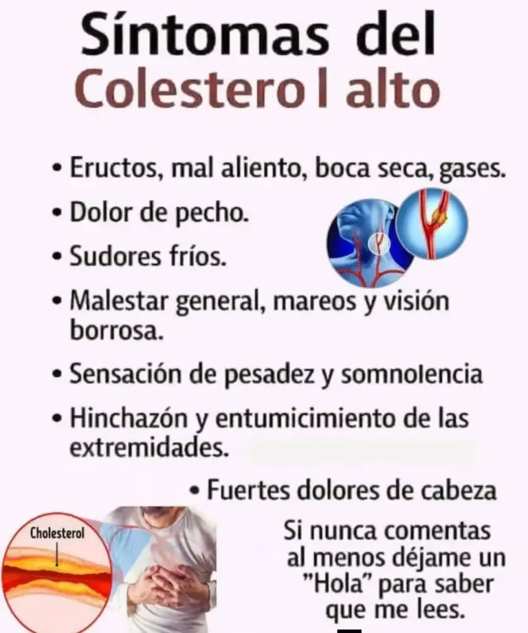 Colesterol Alto: Señales que No Debes Ignorar
