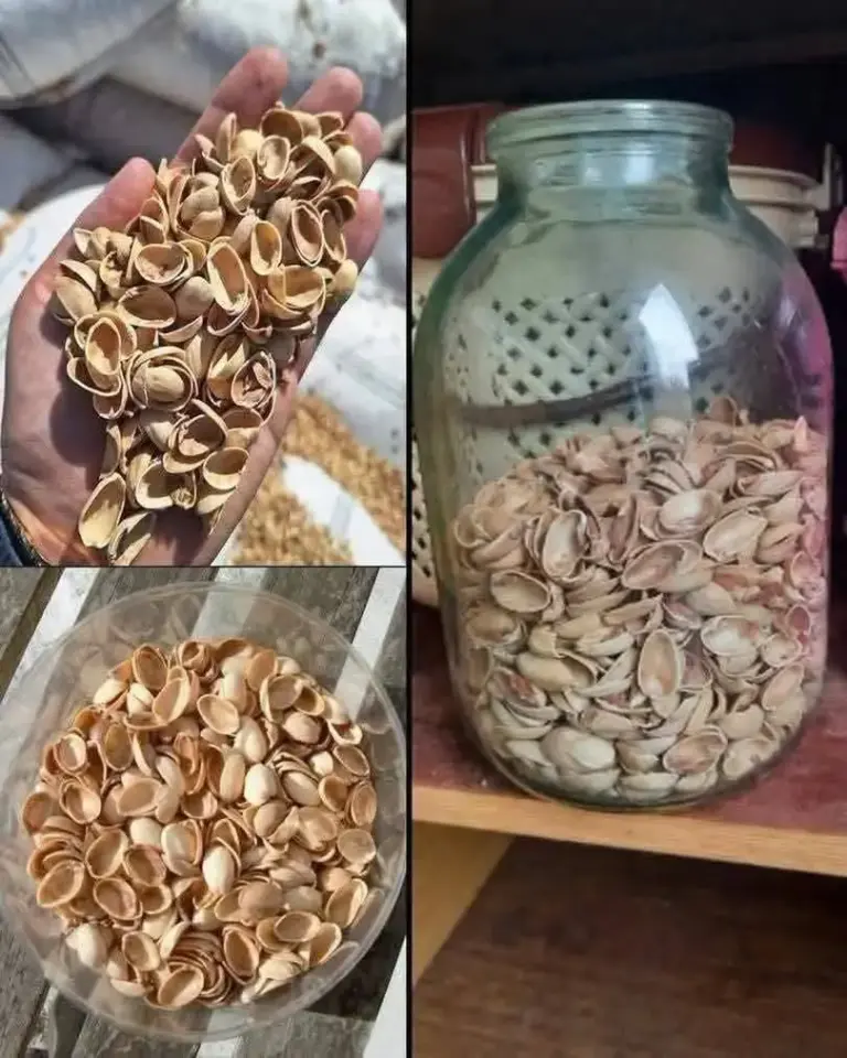 Aprovecha las cáscaras de pistacho en casa
