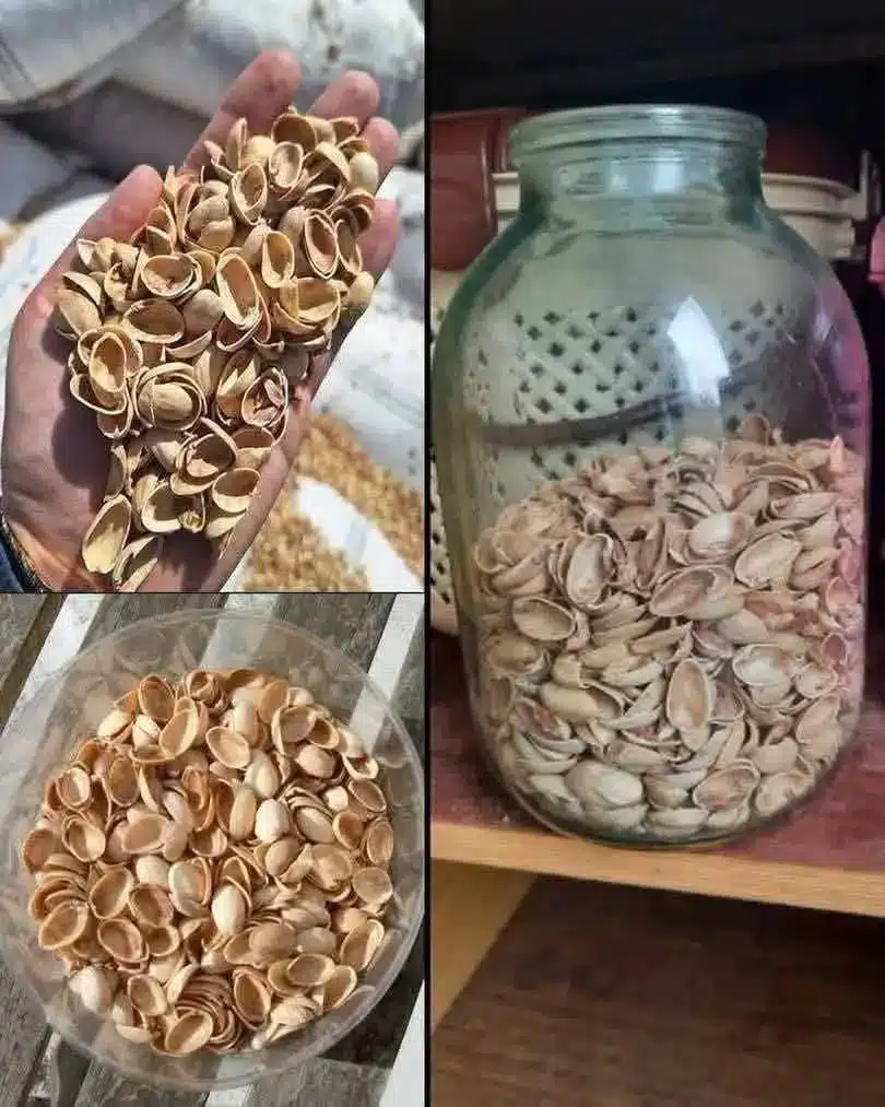 Aprovecha las cáscaras de pistacho en casa