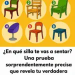 Qué dice tu silla favorita sobre tu personalidad 8 Qué dice tu silla favorita sobre tu personalidad