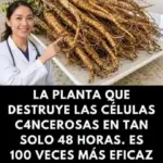 Raíz Milagrosa: Salud, Vida y Bienestar