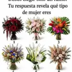 Elige tu ramo y descubre tu personalidad