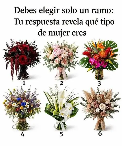 Elige tu ramo y descubre tu personalidad