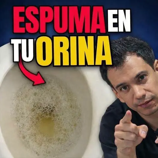 Espuma en la orina: riesgos y causas principales