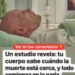El cuerpo predice la muerte mediante el olfato 9 El cuerpo predice la muerte mediante el olfato