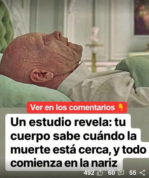 El cuerpo predice la muerte mediante el olfato