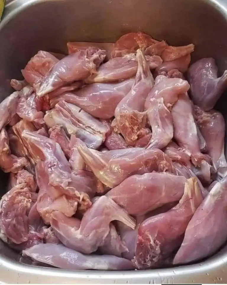Guía completa sobre tipos de carne vacuna