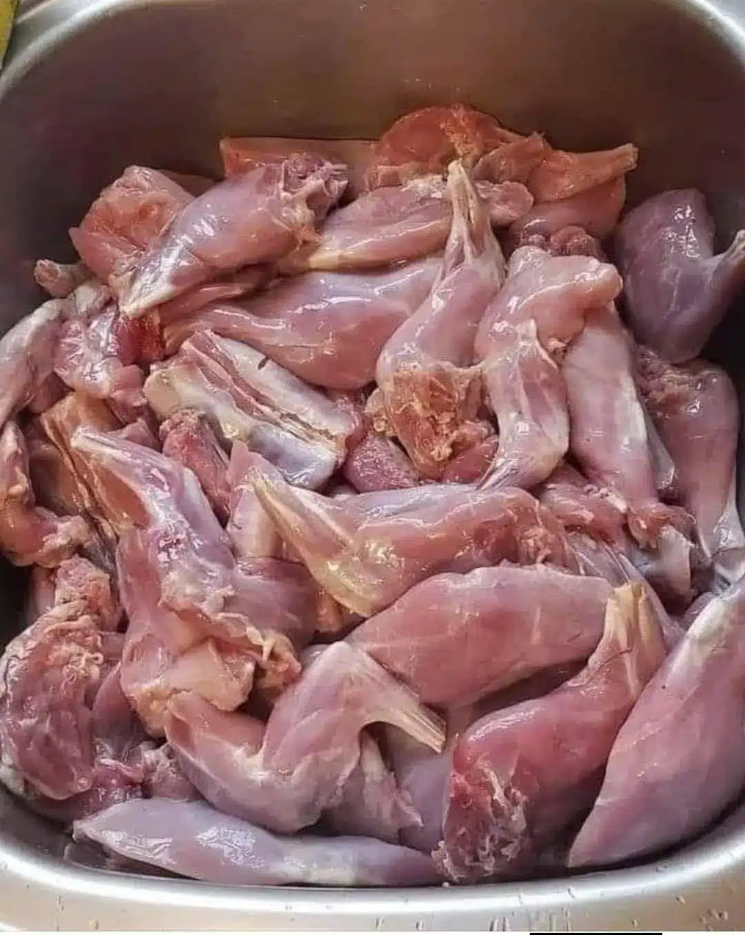 Guía completa sobre tipos de carne vacuna