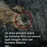 Dron captura imágenes inéditas en las montañas