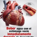 Agua en ayunas: beneficios y cómo beberla 4 Agua en ayunas: beneficios y cómo beberla