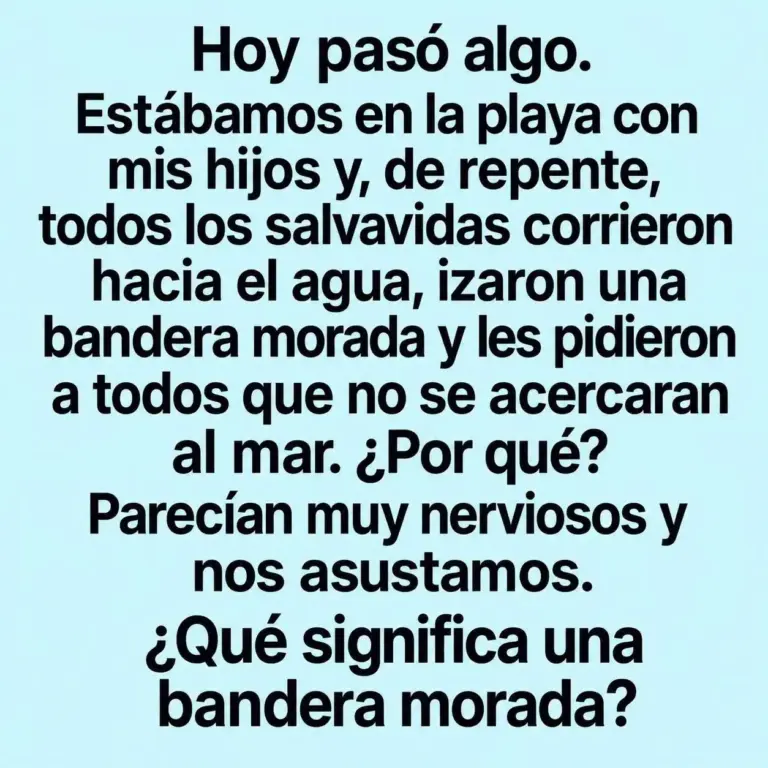 Qué significa la bandera morada en playas