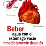 Beneficios de beber agua en ayunas diariamente 9 Beneficios de beber agua en ayunas diariamente