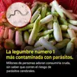 Verduras crudas: Cuidado con parásitos ocultos