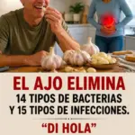 Ajo: el potente antibiótico natural contra infecciones 9 Ajo: el potente antibiótico natural contra infecciones