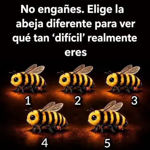 Encuentra al diferente y descubre si eres difícil