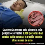 La verdad sobre la carne que consumes diariamente 7 La verdad sobre la carne que consumes diariamente