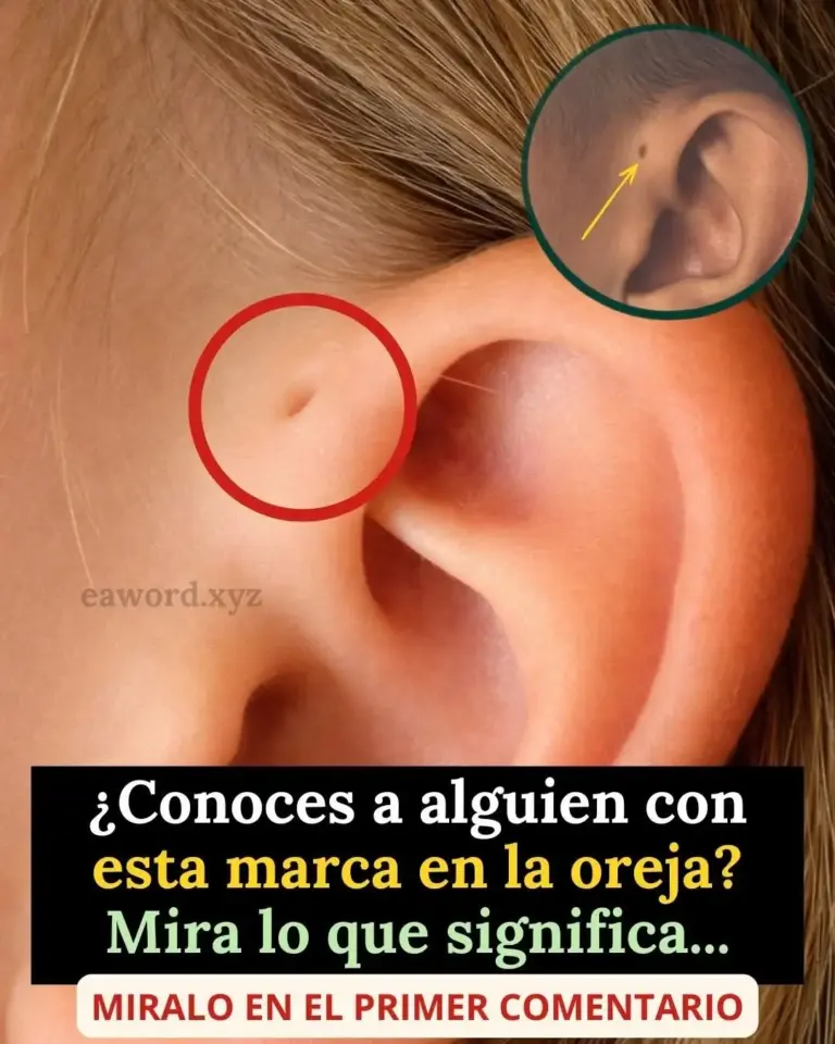 Qué significa el pequeño agujero en la oreja