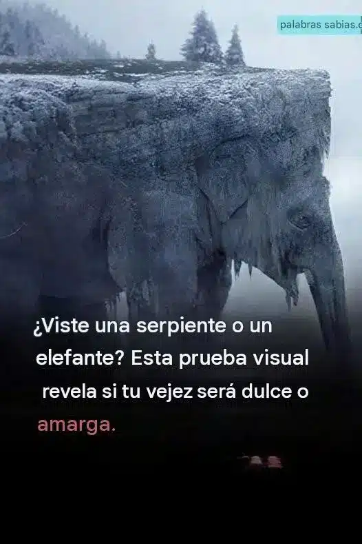 Test visual: ¿Tu vejez será dulce o amarga? 2 Test visual: ¿Tu vejez será dulce o amarga?