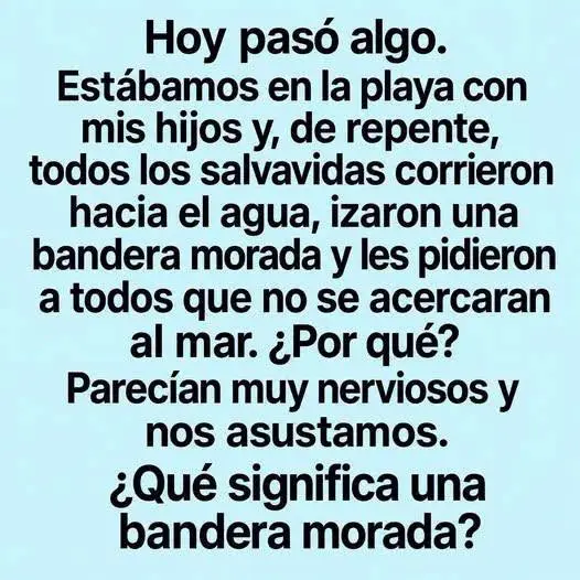 Qué significa la bandera morada en playas