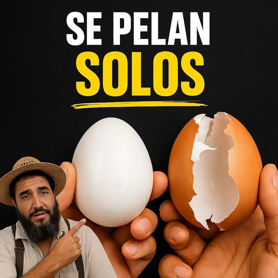 Cómo cocinar huevos perfectos: El truco profesional