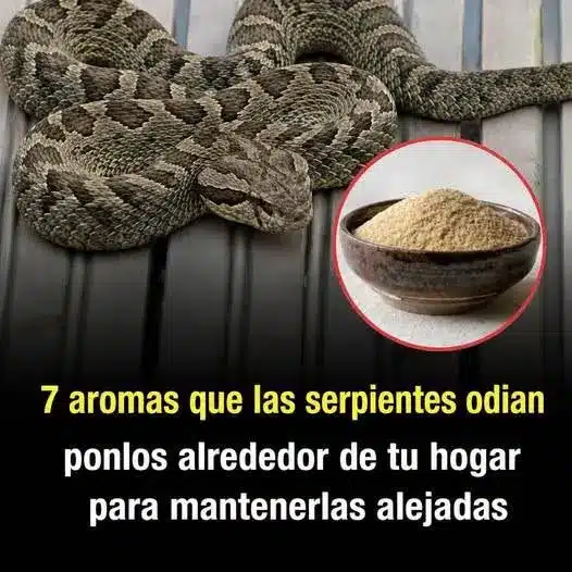 7 olores que repelen serpientes eficazmente
