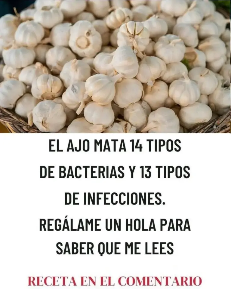 Beneficios sorprendentes de usar aguacate en cocina