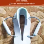 Descubre la utilidad real de estos objetos