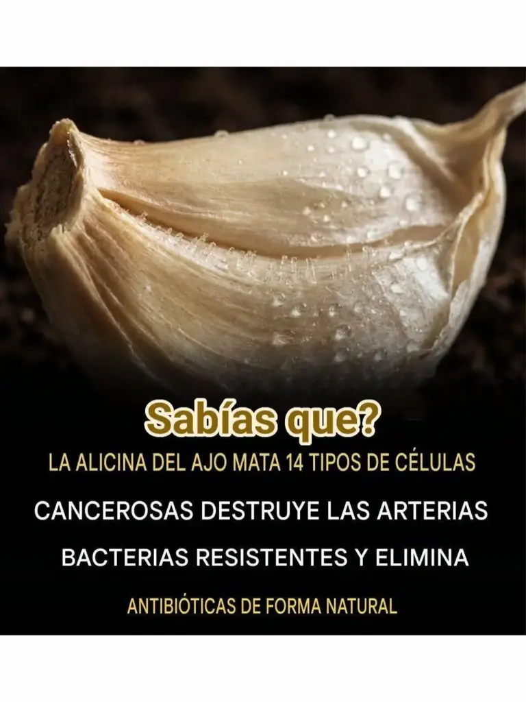 Alicina: Beneficios del ajo para la salud