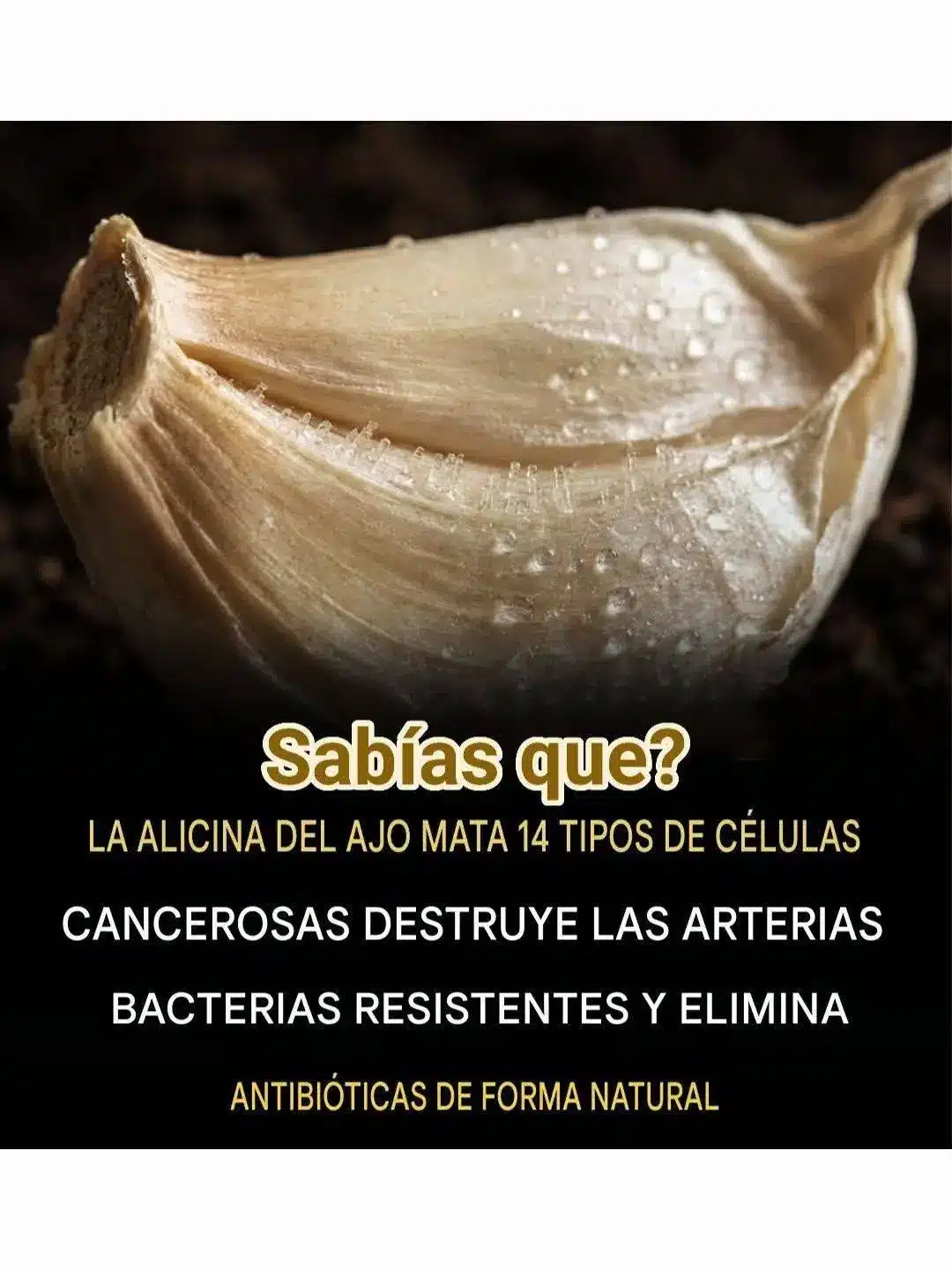 Alicina: Beneficios del ajo para la salud
