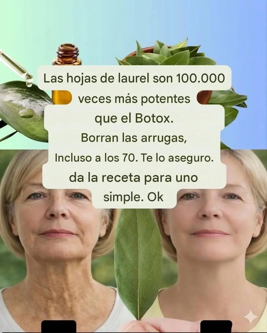 Beneficios y usos del laurel en casa