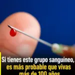 Grupo sanguíneo clave para vivir 100 años