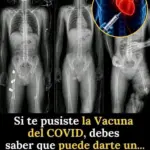 Alerta mundial para vacunados contra el COVID-19 8 Alerta mundial para vacunados contra el COVID-19