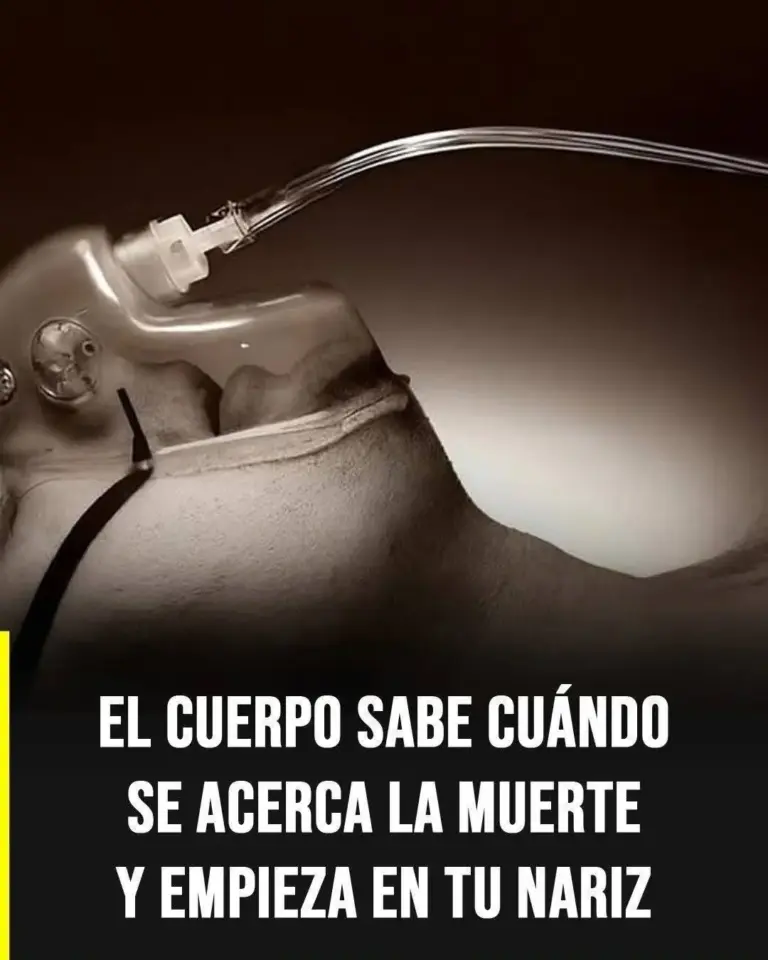 La importancia de la nariz en la salud