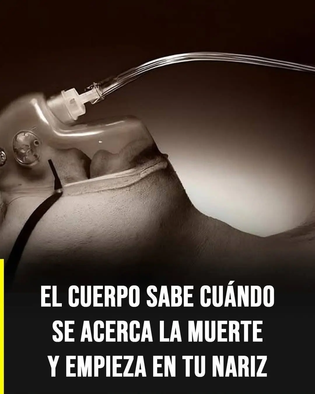 La importancia de la nariz en la salud