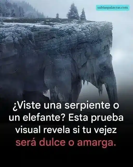 Test visual: ¿Será tu vejez amarga o dulce?